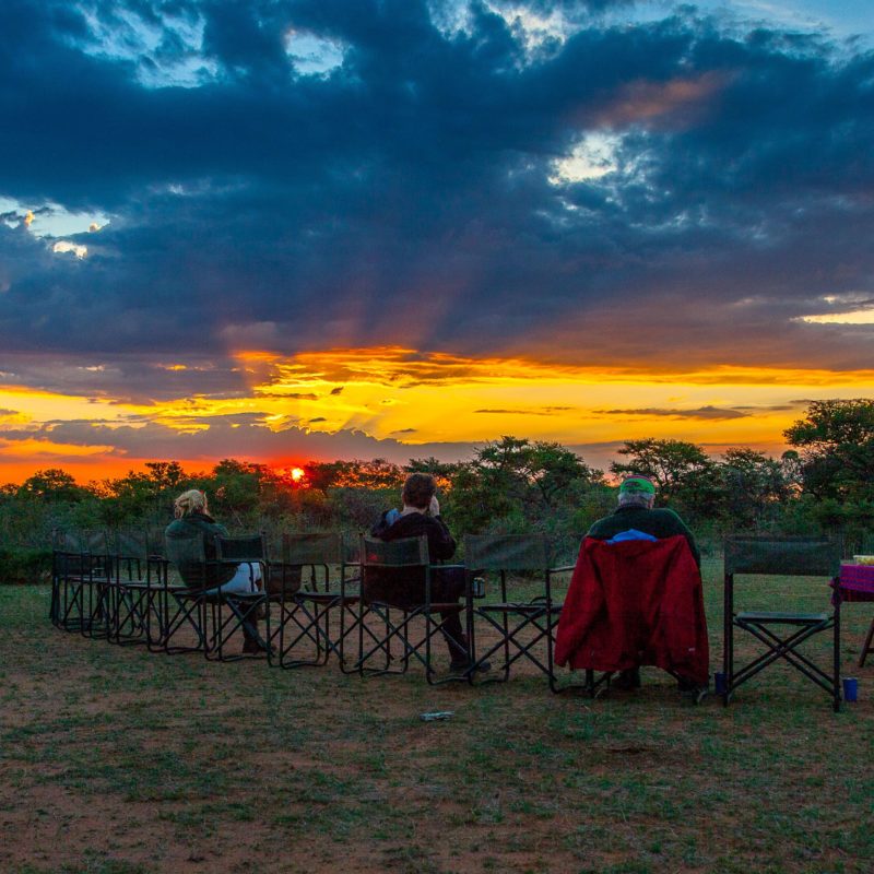 safari near Gauteng